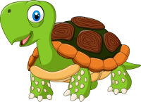 turtle olm